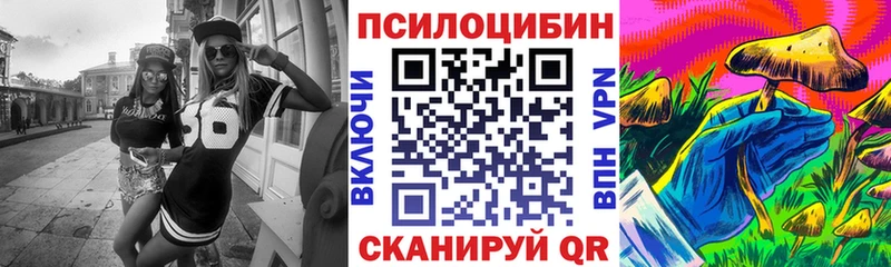 KRAKEN tor  Талдом  Галлюциногенные грибы MAGIC MUSHROOMS 